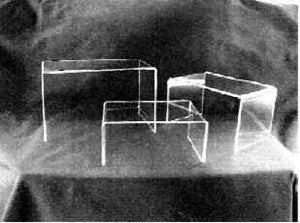 Riser Medium Set of 3 | Auckland | New Zealand | Maxim Displays